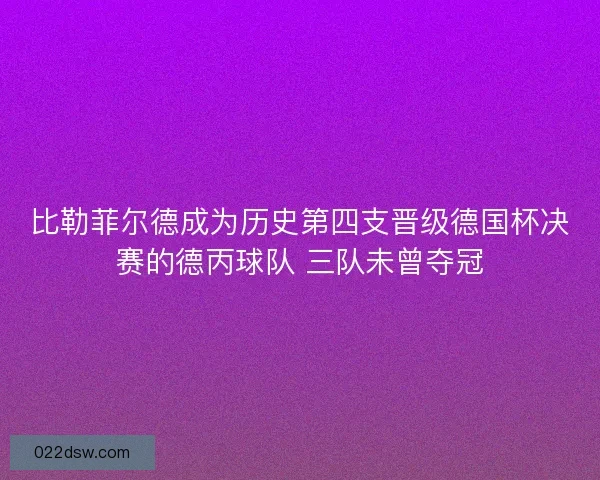 比勒菲尔德成为历史第四支晋级德国杯决赛的德丙球队 三队未曾夺冠